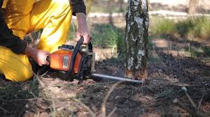 Mulching Services in Edgewood, PA